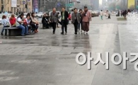 [포토]이상고온의 서울 시내 