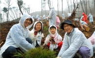 한국제지연합회, 1500그루 소나무 식목행사