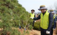 [포토]나무심는 서승환 국토부 장관 