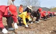 [포토]경로당광역지원센터 공동작업장에 "개똥쑥" 식재