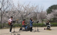 서대문구 안산서 벚꽃 스토리텔링 음악회 열어
