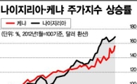 사하라 이남 아프리카에 주목하라