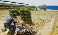 고흥군, 죽암농장 올 첫 모내기