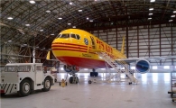 DHL "한국에서 미국 전역으로 익일 배송한다"