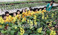 [포토]봄 소풍 나온 어린이들