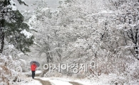 [포토]봄날의 설국 즐기는 여인
