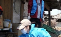 송혜교 유기견 봉사활동, "마음이 더 예쁜 배우"