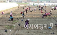장성군, 도시민 주말 텃밭농장 개장 