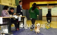 [포토]투표소에 강아지가....