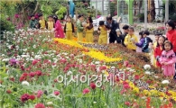 [포토]나비야 나와같이 놀자 