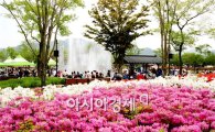 곡성군, 섬진강 기차마을 대축제 개최 