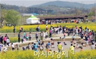 [포토]함평나비축제장 인산인해 