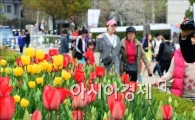 [포토]꽃 구경하는 시민들
