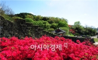 고창읍성, 1.7km 철쭉길 걸어보세요