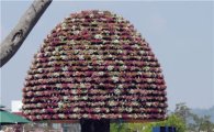 [포토]나비축제장 '희망나무'에  패추니아 만개
