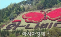 [포토]와~나비다 