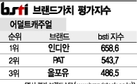 [그래픽뉴스]인디안, 어덜트캐주얼 브랜드 1위