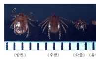 살인진드기 막을 용병은 '진드기 퇴치제' 