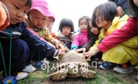 [포토]'거북이 아이 예쁘다'