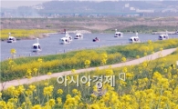 [포토]유채 향기 속에 오리배 타는 관광객