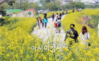 [포토]흐드러지게 핀 유채꽃 향기 맡으면서 