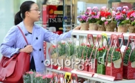 [포토]'어버이날 어떤 카네이션 선물할까'