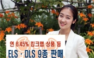미래에셋證, ELS·DLS 9종 출시