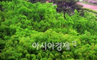 [포토]우산 쓴 시민