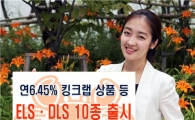 미래에셋證, ELS·DLS 10종 출시