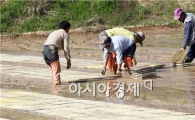 [포토]분주한 농촌들녘