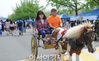 [포토]캠퍼스에 나타난 나귀 