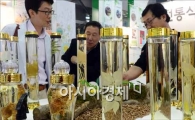 [포토]전통술 살펴보는 시민들