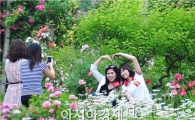 담양군, ‘장미와 대나무의 어울림’ 죽화경 장미정원축제 