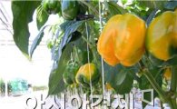 광양 원예생산단지 농축산식품부 ‘우수’ 단지 선정