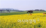 제10회 고창청보리밭 축제 23일간 초록휴식 충전 성료