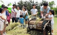 가족과 함께 황금 밀밭에  ‘풍덩’ 빠져볼까