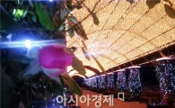 곡성 섬진강 기차마을, 천사 사랑 빛 거리로 오세요