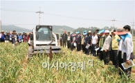 고흥군, 산지별 씨마늘 실증재배 현장평가회