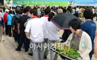 [포토]줄지어 선 채소 모종 무료나눔 행사