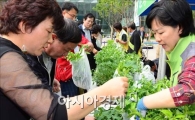 [포토]'채소 모종 직접 키워보세요~'