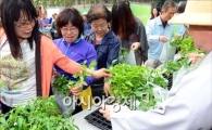 [포토]채소 모종 나눔 행사