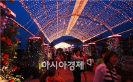 [포토]곡성장미공원 '천사 사랑빛 거리' 인기