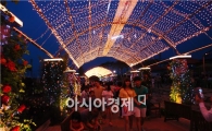 [포토]'천사 사랑빛 거리'에서 장미와 함께 사랑을 ~