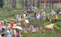 [포토]관광객 북적이는 곡성 1004 장미공원