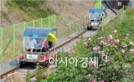[포토]장미공원에서 레일바이크 타는 관광객들