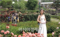[포토]명품장미와 5월의 신부의 아름다운 조화