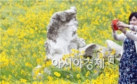 [포토]만개한 금계국 배경으로 한 컷