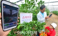 [포토]'스마트팜으로 한결 편해진 농가'