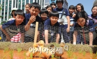 [포토]우리는 농사짓는 오리들 