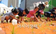 [포토]"미끌미끌 모내기 재미있어요"